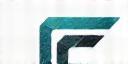 Digital Flow Inc. Logo